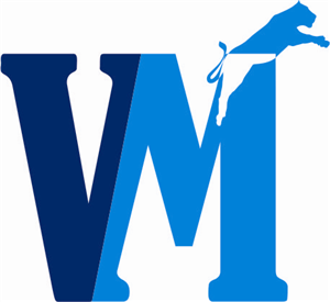 Logo Design by HAWAI ZAHAZ for VMTurbo | Design: #3241828