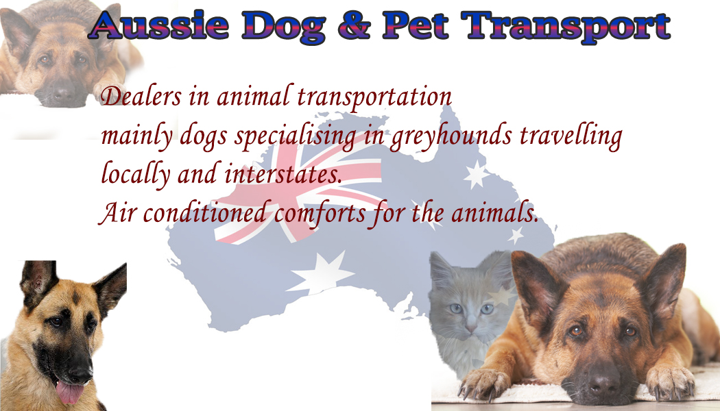 Business Card Design by njaaga for this project | Design #3257863