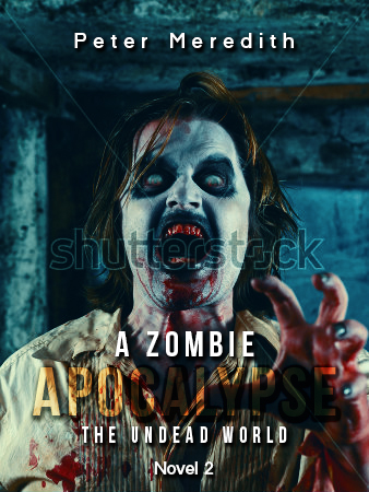 Book Cover Design by CaptainZZ for Peter Meredith | Design #3243143