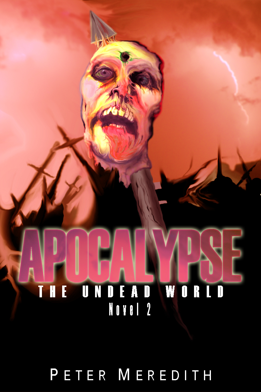 Diseño de portada de libro por Richard Craighead para Peter Meredith | Diseño #3272166