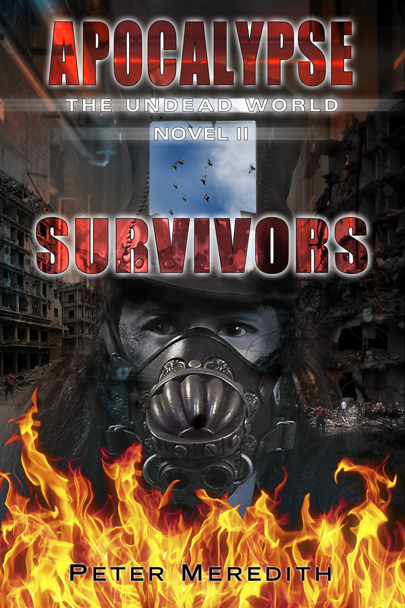 Book Cover Design by illuminati-design for Peter Meredith | Design #3292012