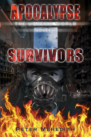 Book Cover Design by illuminati-design for Peter Meredith | Design: #3292012