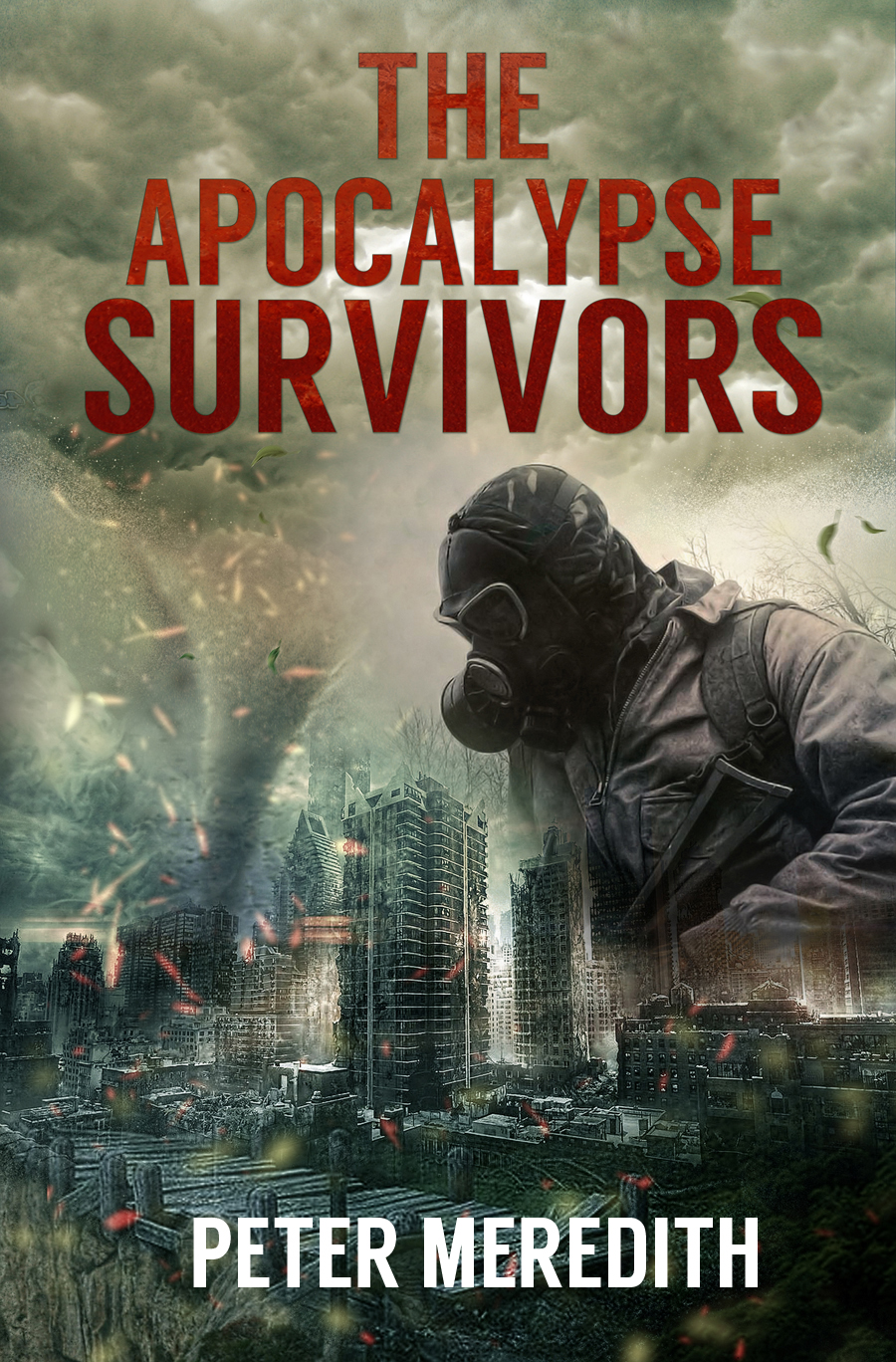 Book Cover Design by Vanes7 for Peter Meredith | Design #3268009