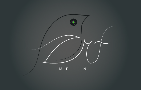 Logo Design by evulilienka for this project | Design #3323386