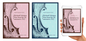Book Cover Design by Anna