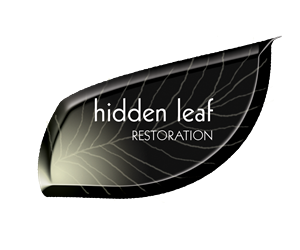 Logo Design by ChristineDeye