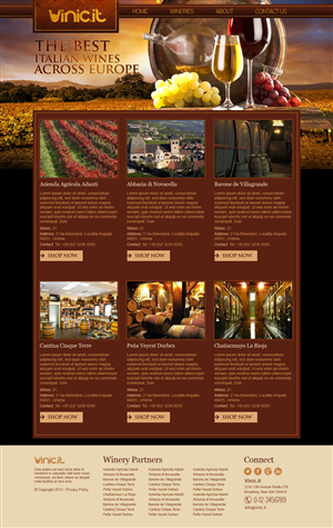  Home and sub-home pages for an italian wines e-commerce | Web Design by jeckx2