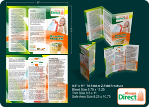 Brochure Design by SiddKidd for this project | Design #73711