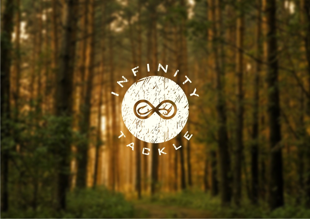 Logo Design by Amduat Design for Infinity Network Services, Inc. | Design #3259082