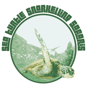 Logo Design by Digital Fabrication by Ben for this project | Design: #3264862