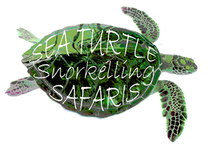 Logo Design by Irene Helen