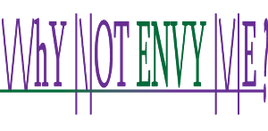 Design de Logo par Maha Naeem pour Why Not Envy Me | Design #3247392
