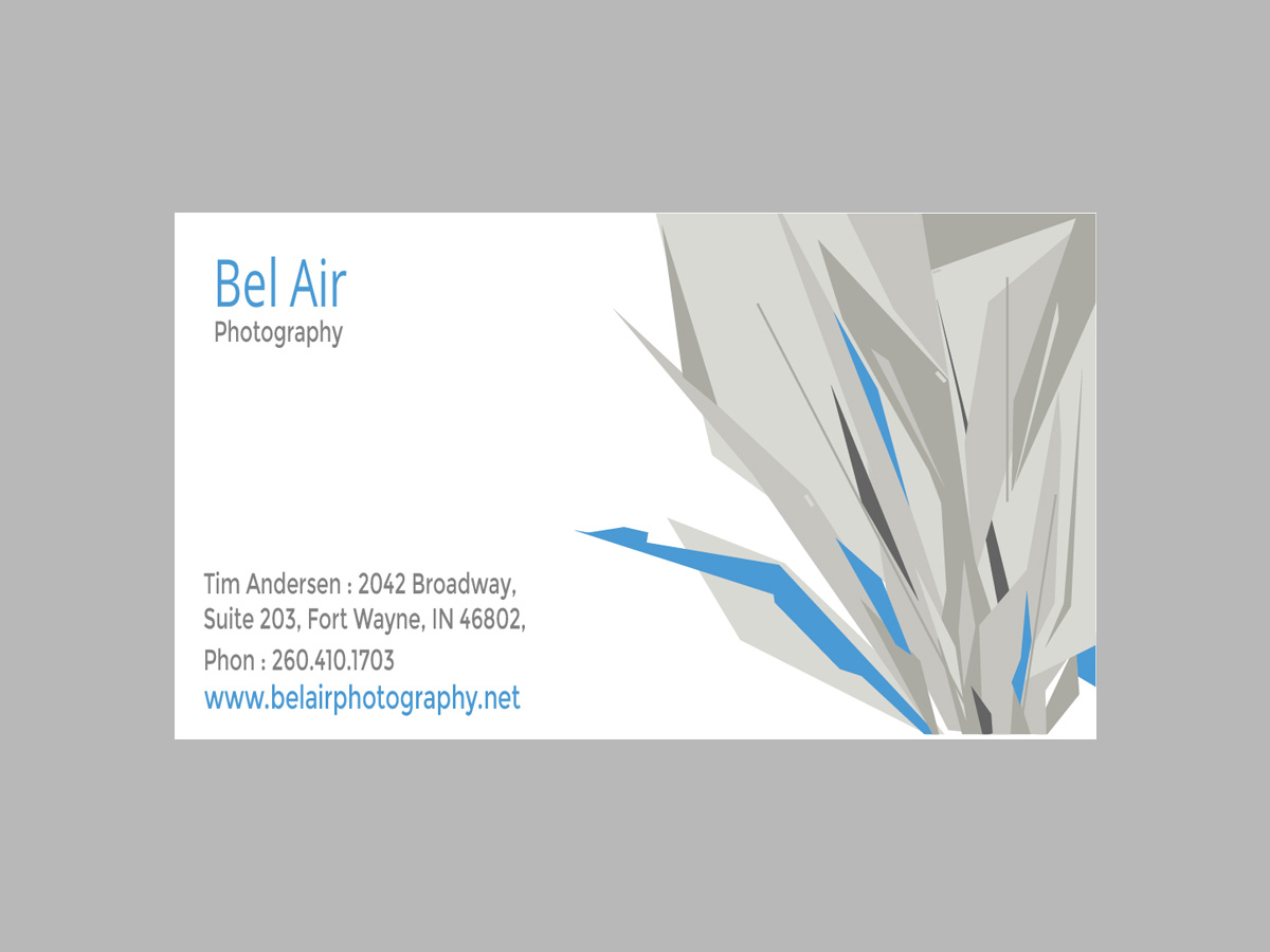 Business Card Design by uniquetribe for Bel Air Photography | Design #3280582