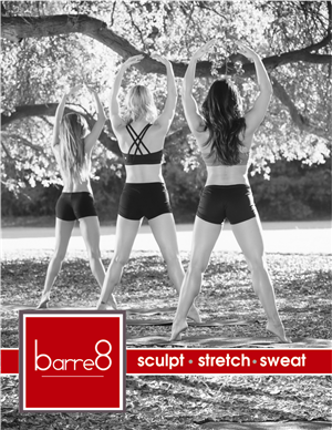 A fresh 'Barre Workout' Design Needed  | Diseño de Póster por cb1318