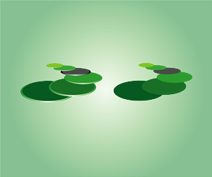 Logo Design by JR design