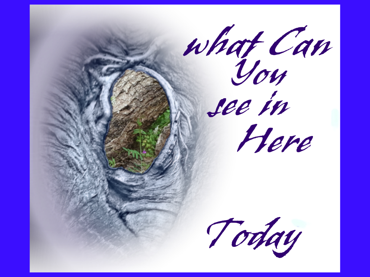 Diseño de Camiseta por designed by Dwayne para Brand Ur Band LLC | Diseño #3266245