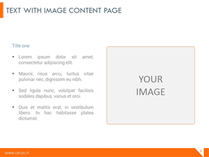 Diseño de PowerPoint por moreslides para Cirrus BV | Diseño: #3266940