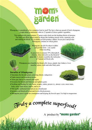 Flyer Design by anshtoyj