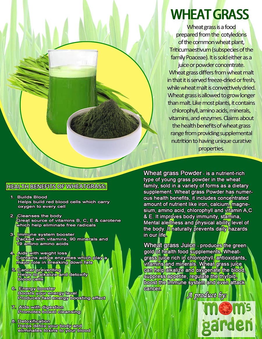 Flyer-Design von Shie für dieses Projekt | Design #3298138