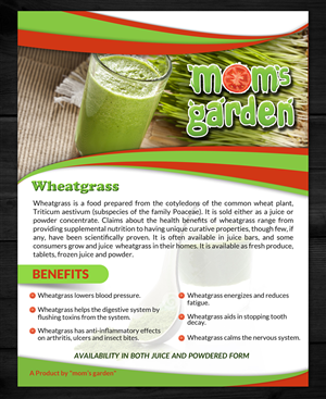 Flyer Design by ESolz Technologies