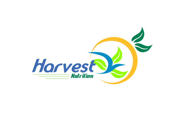 Logo Design by orely from the sky for this project | Design #3339631