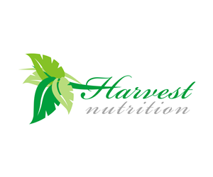 Logo Design by AleOnDaWeb