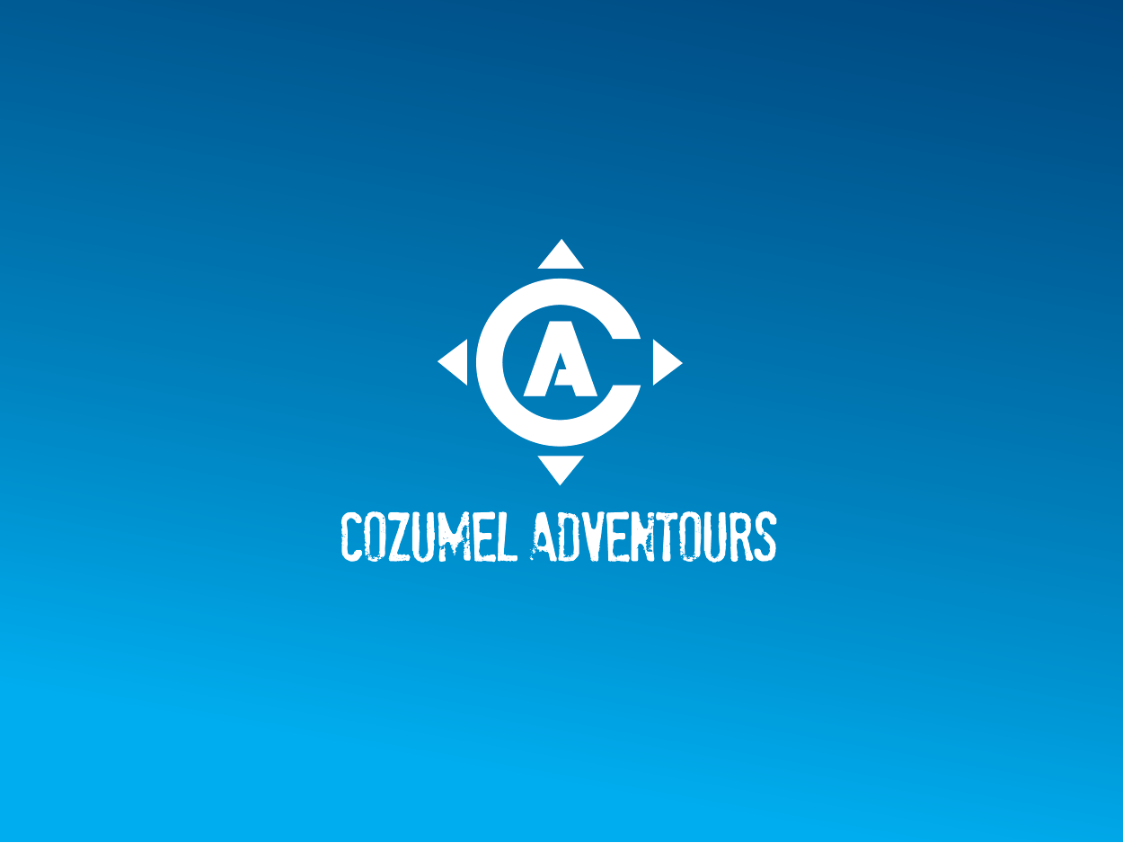 Logo Design by bluejet for this project | Design #810937