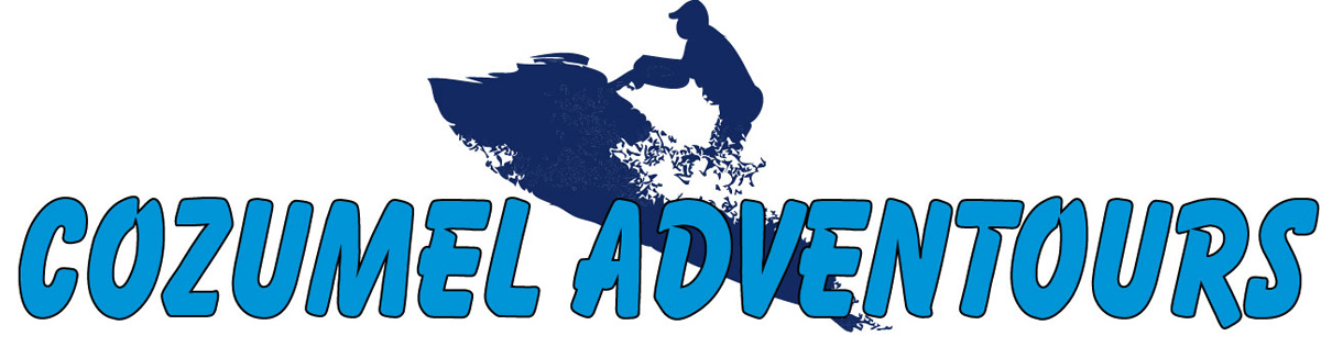 Logo Design by como for this project | Design #813897