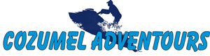 Logo Design by como for this project | Design #813897