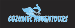 Logo Design by como for this project | Design: #813914