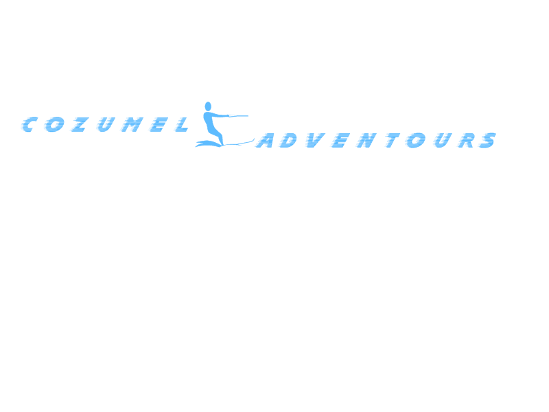 Logo Design by viva23 for this project | Design #811673