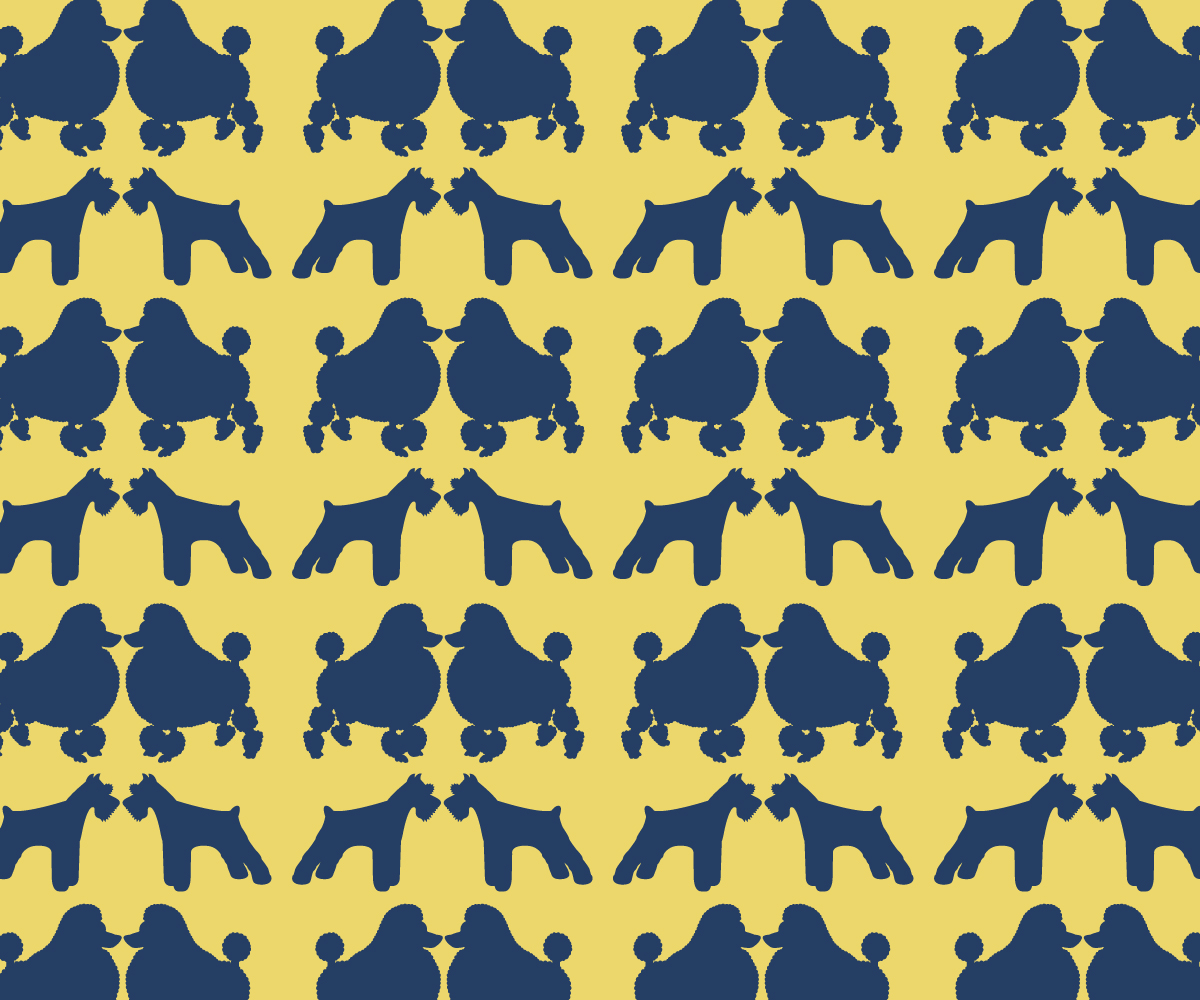 Vector Design by whiteloza for this project | Design #3325649