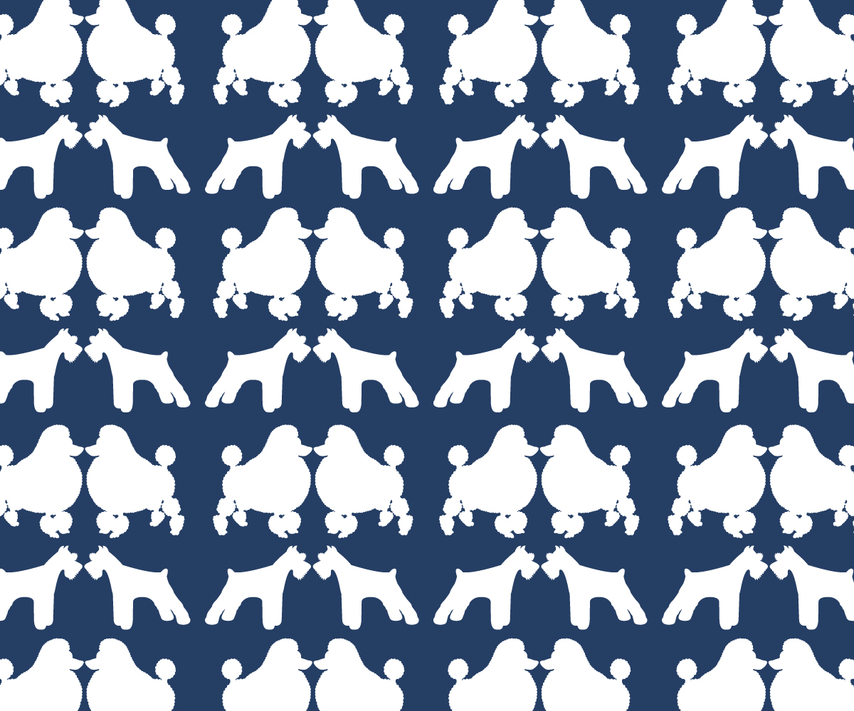 Vector Design by whiteloza for this project | Design #3325650