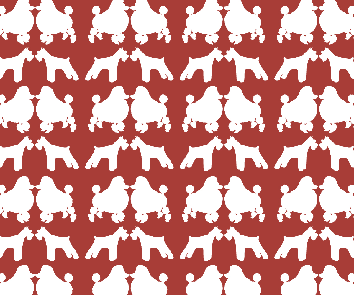Vector Design by whiteloza for this project | Design #3325651