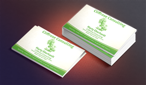 Business Card Design by baylishka for this project | Design: #3287058