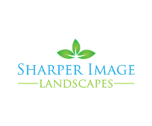 Logo Design by niko for this project | Design: #3272683