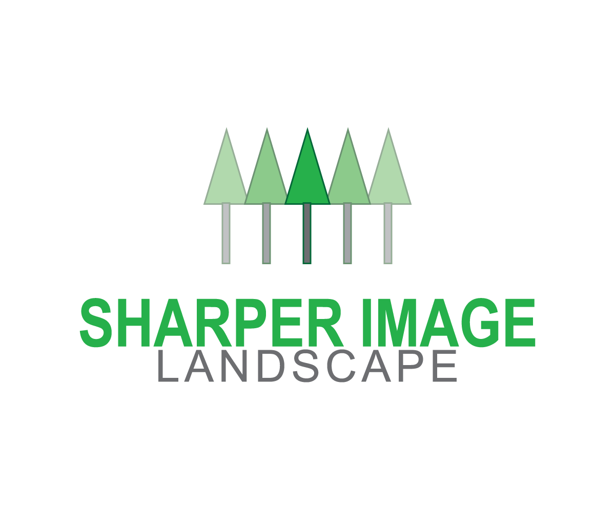 Design de Logo par D by JB pour ce projet | Design #3289861