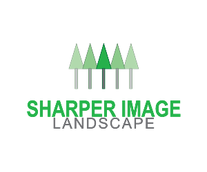Logo Design by D by JB