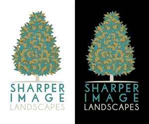 Logo Design by Kevin Waltermire