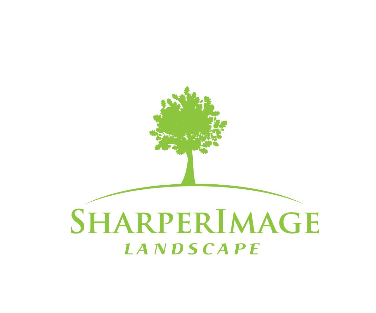 Logo Design by B.R. for this project | Design #3291543