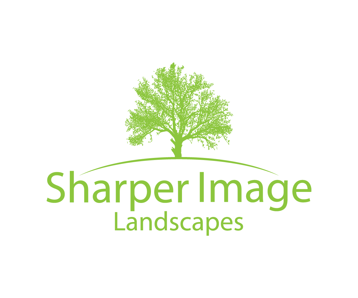 Logo-Design von B.R. für dieses Projekt | Design #3291545