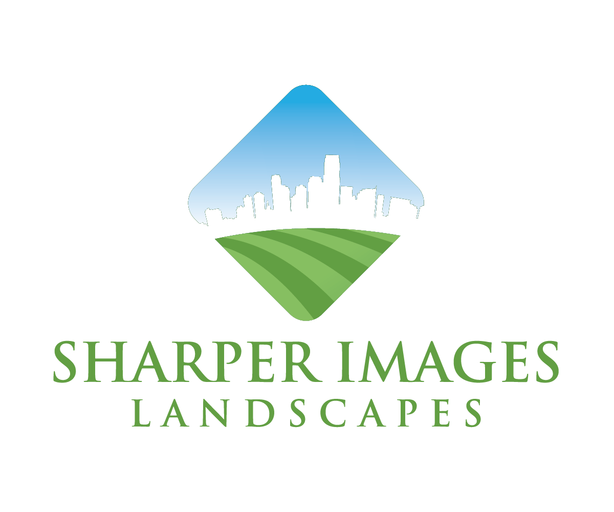 Logo Design by B.R. for this project | Design #3296259