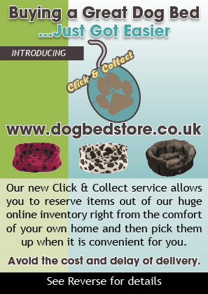 Design de Flyer par Kings Bishop Design pour Marshalls Pet Food Store Ltd. | Design #77893