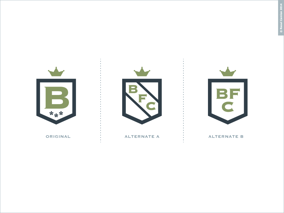 Logo Design by Raoul Camion for Betts Financial Consulting | Design #3333037