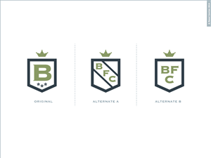Logo Design by Raoul Camion for Betts Financial Consulting | Design: #3333037