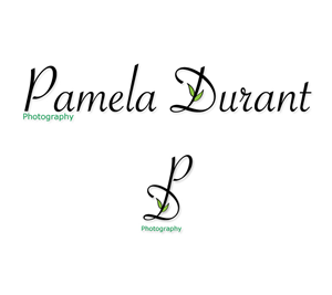 Logo Design by PAGEMonkey Design for this project | Design #824178