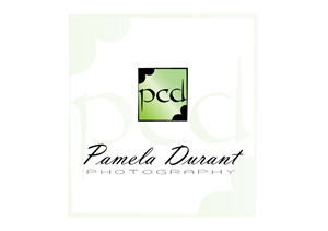 Logo-Design von Bling Connect Ink für dieses Projekt | Design: #804975