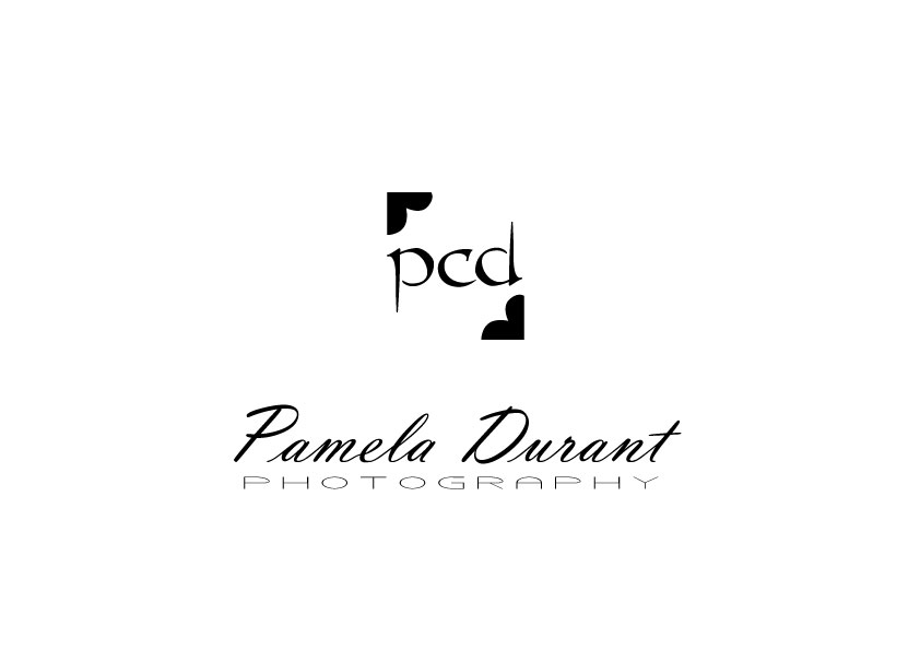 Logo Design by Bling Connect Ink for this project | Design #804977