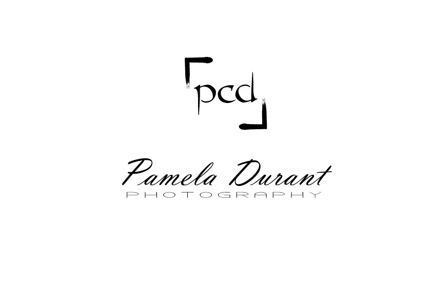 Logo-Design von Bling Connect Ink für dieses Projekt | Design #818023