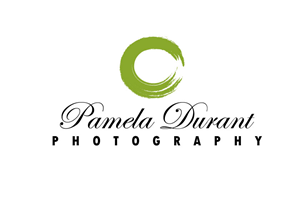 Logo Design by Bling Connect Ink for this project | Design: #899275